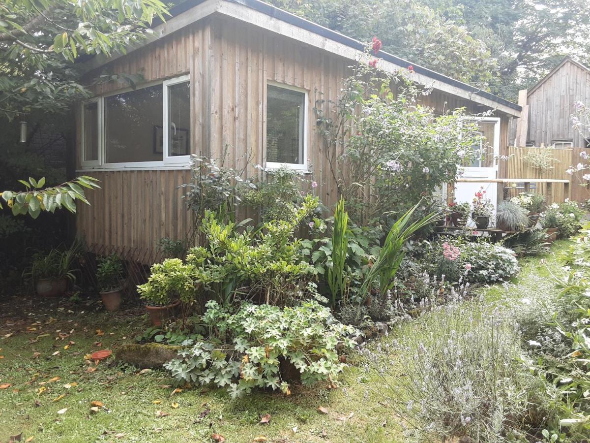 Tranquil Wood Cabin Set In A Beautiful Orchard Villa Penzance Esterno foto