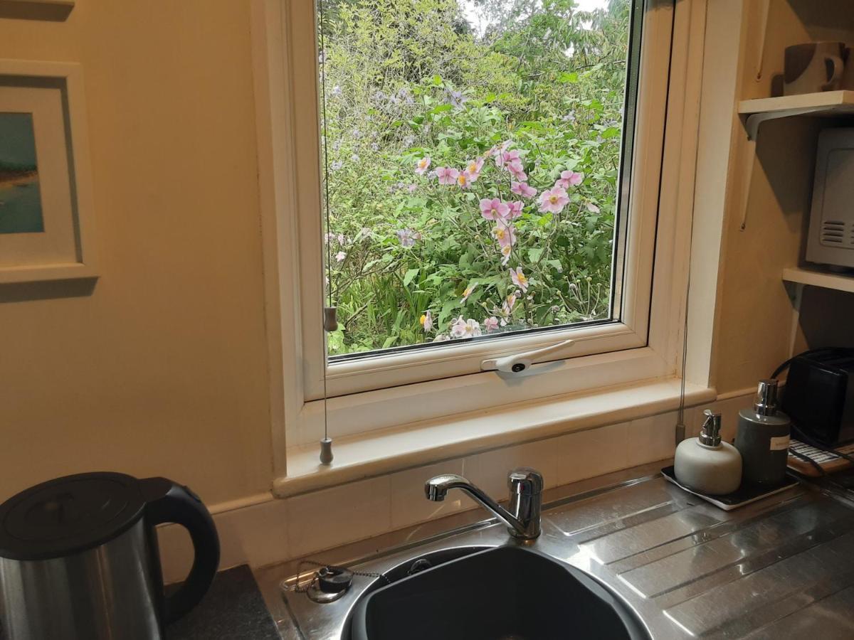 Tranquil Wood Cabin Set In A Beautiful Orchard Villa Penzance Esterno foto